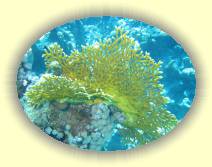 IMG_2007_05_27 14_33_04 * 2272 x 1704 * (664KB)